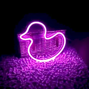 Led Neon Ördek